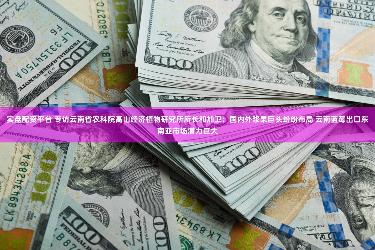 实盘配资平台 专访云南省农科院高山经济植物研究所所长和加卫：国内外浆果巨头纷纷布局 云南蓝莓出口东南亚市场潜力巨大