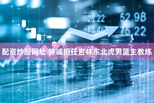 配资炒股网址 钟诚担任吉林东北虎男篮主教练