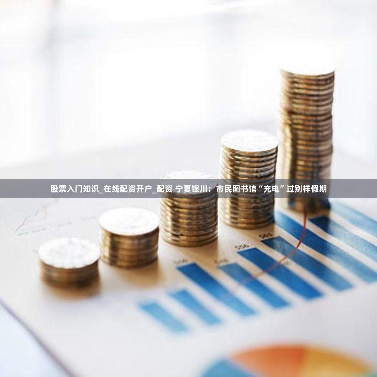 股票入门知识_在线配资开户_配资 宁夏银川:市民图书馆“充电”过别样假期