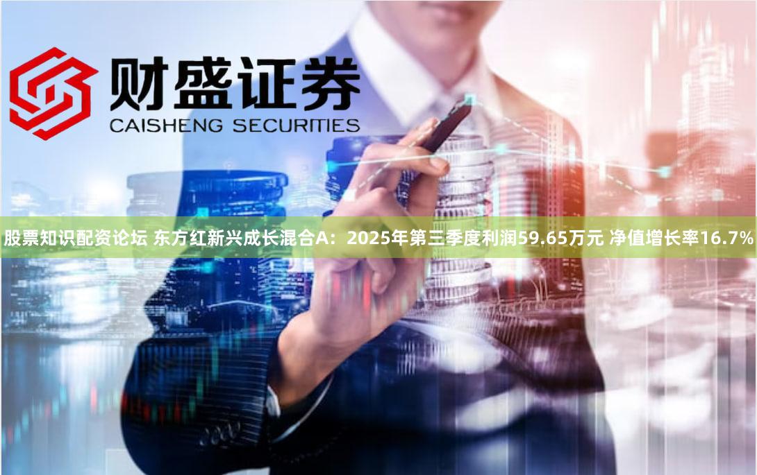 股票知识配资论坛 东方红新兴成长混合A:2025年第三季度利润59.65万元 净值增长率16.7%