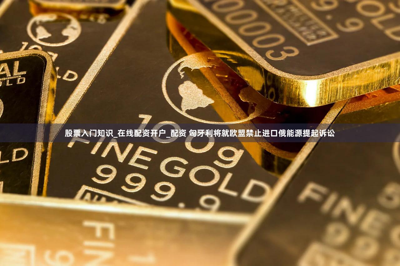 股票入门知识_在线配资开户_配资 匈牙利将就欧盟禁止进口俄能源提起诉讼