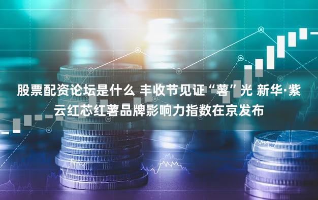 股票配资论坛是什么 丰收节见证“薯”光 新华·紫云红芯红薯品牌影响力指数在京发布