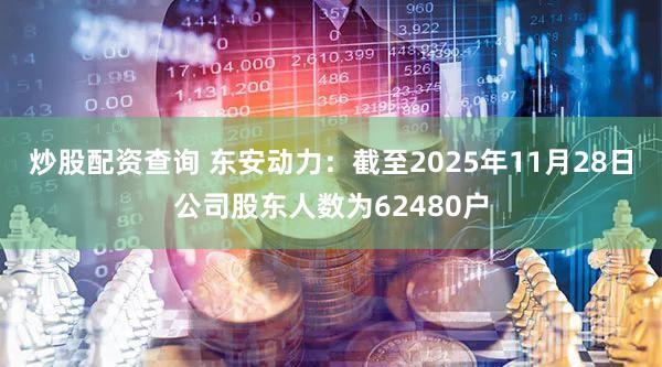 炒股配资查询 东安动力：截至2025年11月28日公司股东人数为62480户